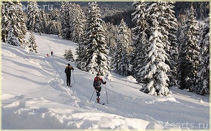Hotel Tyrol 61